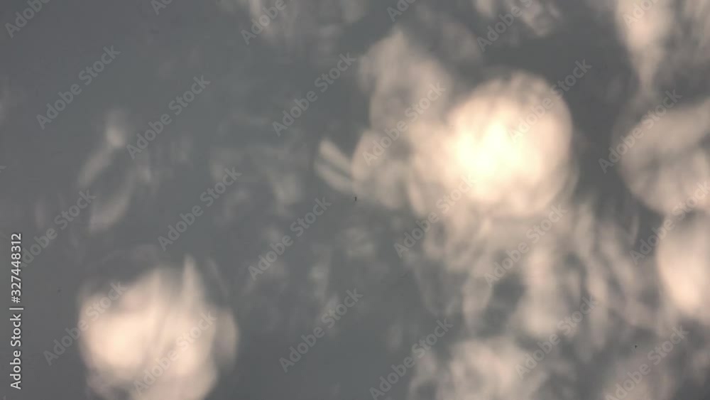 Water surface with reflection of moving tree leaf