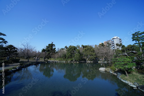 Fototapeta Naklejka Na Ścianę i Meble -  京都のお庭