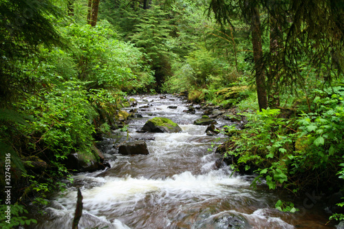 Necarney Creek (OR 00229)