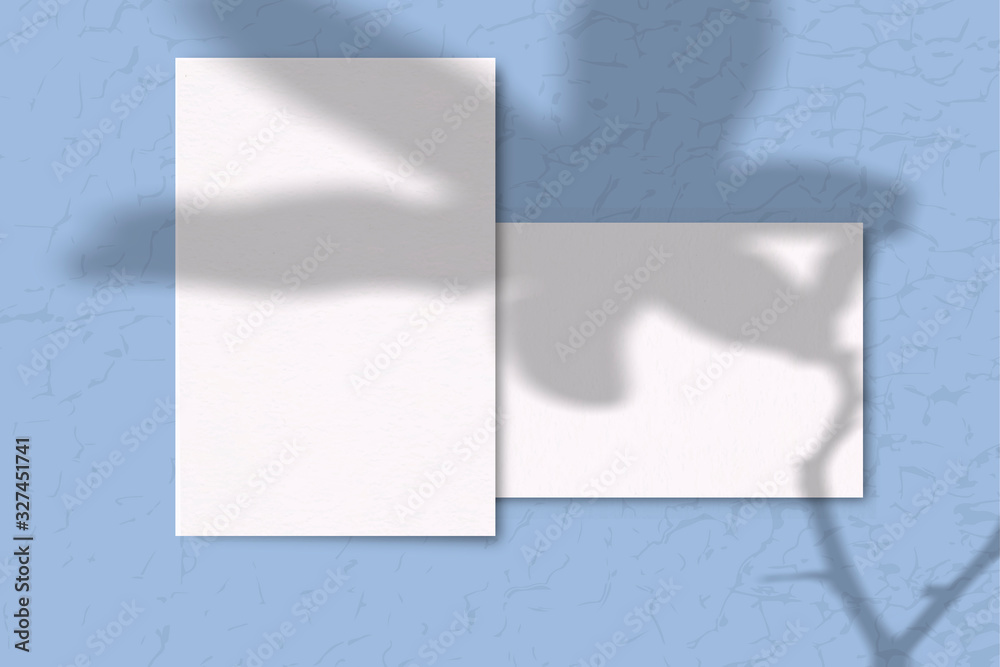 2 Sheets of white texture paper on a blue background. Mockup with overlay of plant shadows . Natural light casts the shadow of field plants and flowers from above 2 Sheets of white texture paper on a blue background. Mockup with overlay of plant shadows . Natural light casts the shadow of field plants and flowers from above