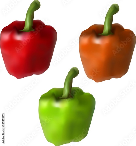 sweet pepper paprika of different colors red orange green vector drawing