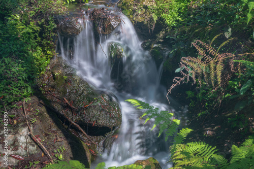waterfall in the forest photo