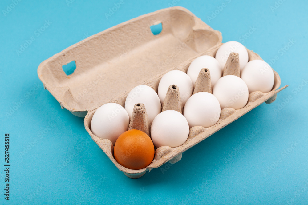 Egg Chicken eggs. Top view of an open gray box with white eggs Isolated on a blue background. One egg of a different color, a brown egg. The concept of focus, an outcast, not like everyone else, LGBT