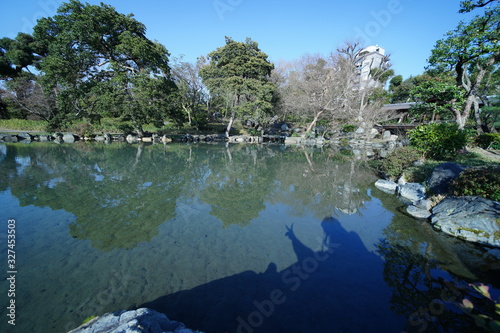 Fototapeta Naklejka Na Ścianę i Meble -  京都のお庭