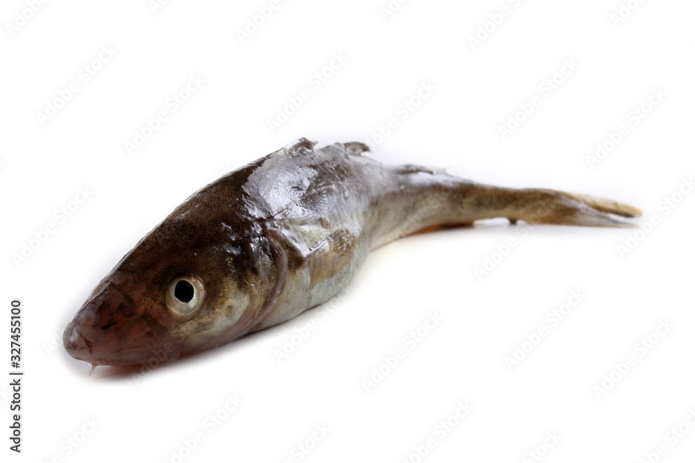 Safron cod fish Safron cod fish