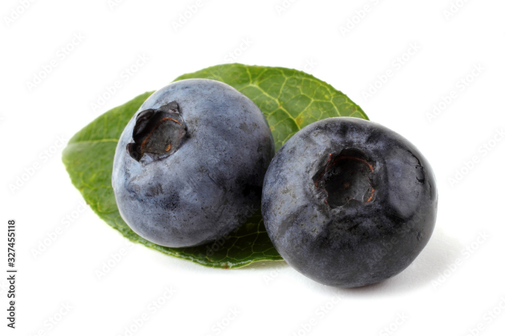 Blueberries and leaf Blueberries and leaf