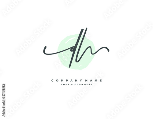 DL initial letter elegant handwriting logo collection photo