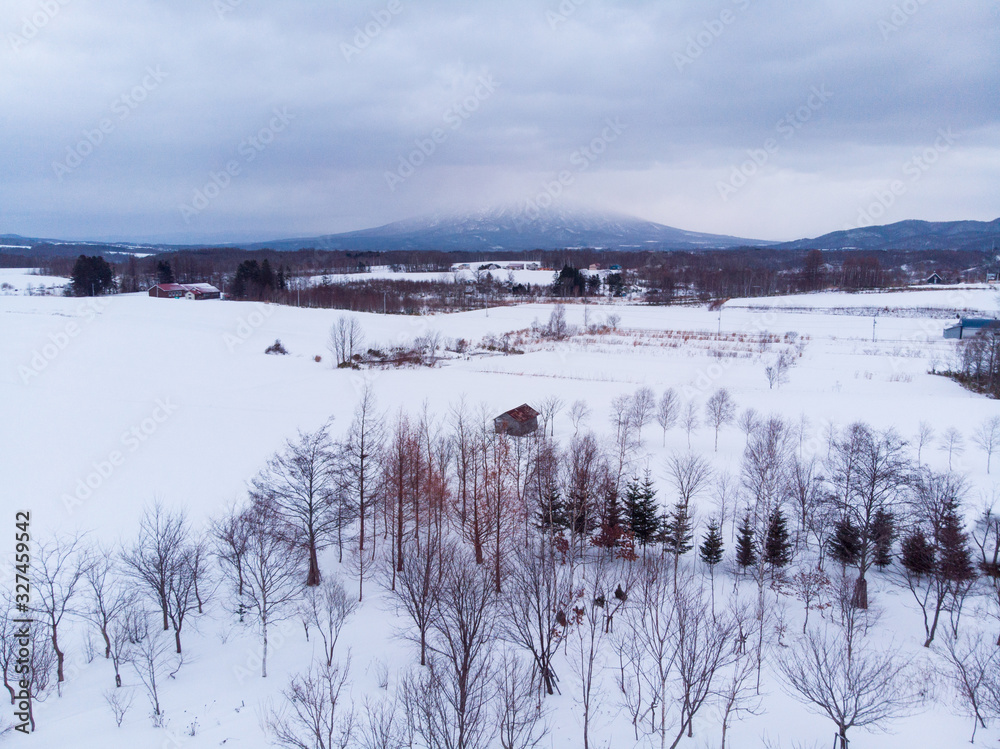 Winter landscape photo of a snow covered fields and cottages with bare trees in foreground and the majestic Mount Yotei in the background Winter landscape photo of a snow covered fields and cottages with bare trees in foreground and the majestic Mount Yotei in the background