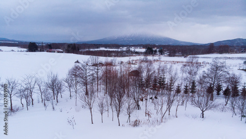Winter landscape photo of a snow covered fields and cottages with bare trees in foreground and the majestic Mount Yotei in the background