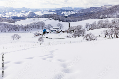 Daegwallyeong Sheep Ranch in Gangwon Province in winter Snowfall
