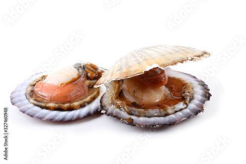 Two opened scallops