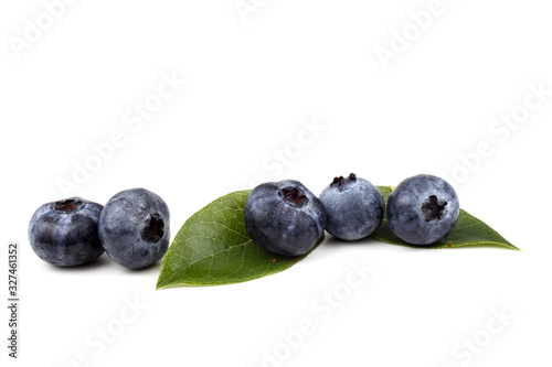 Blueberries on leaves