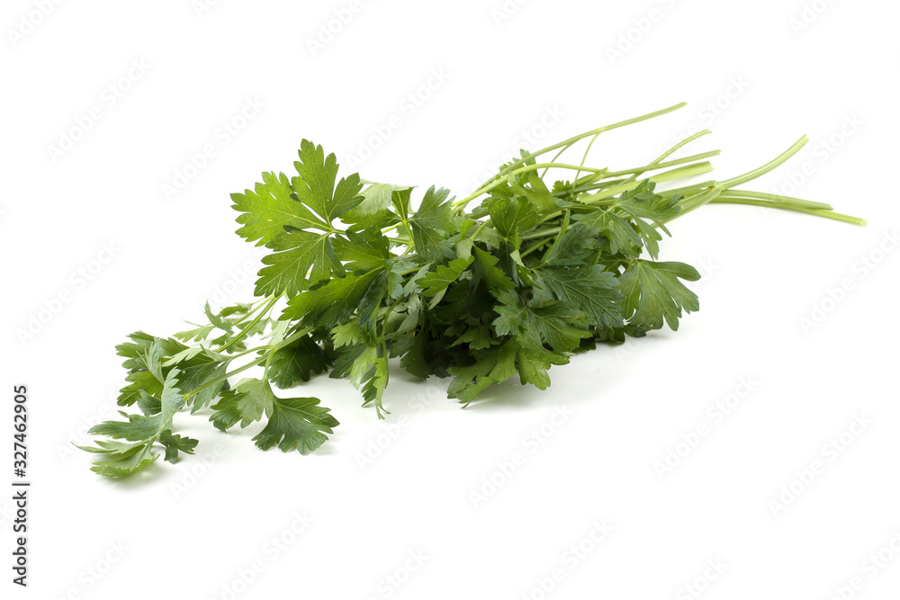 Parsley isolated on white Parsley isolated on white