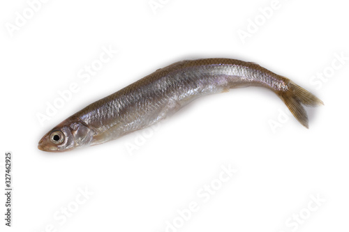 Smelt fish isolated on white