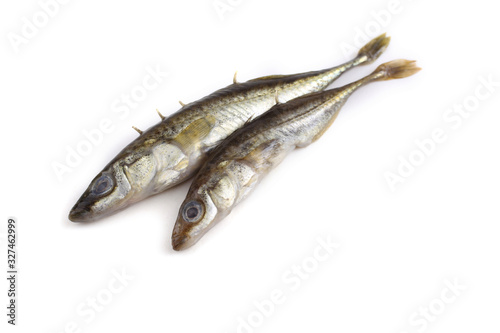 Stickleback fish isolated on white