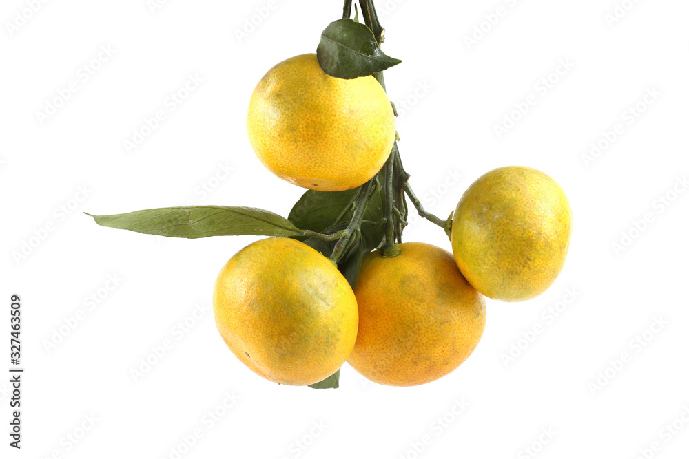 Cluster of mandarin oranges