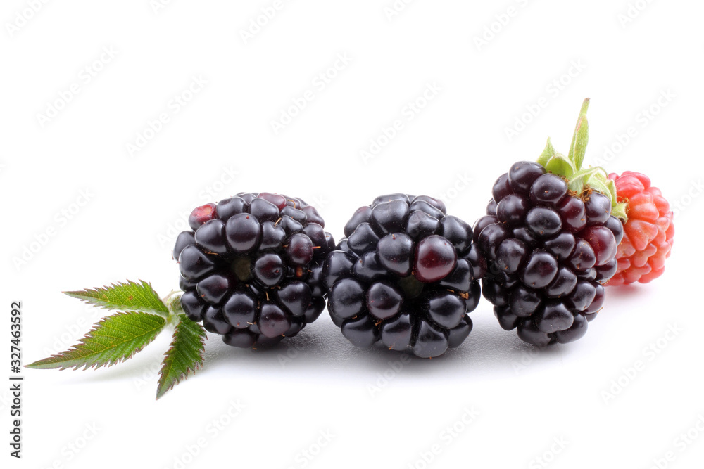 Blackberries and leaf Blackberries and leaf
