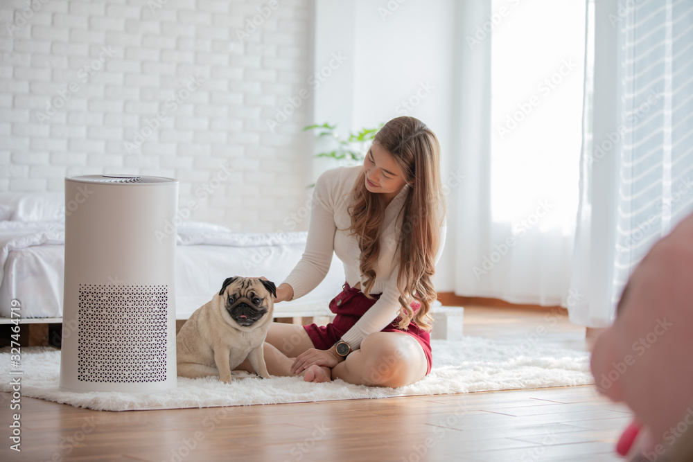 Woman playing with Dog Pug Breed and Air purifier in cozy white bed room for filter and cleaning removing dust PM2.5 HEPA in home,for fresh air and healthy life,Air Pollution Concept - obrazy, fototapety, plakaty 