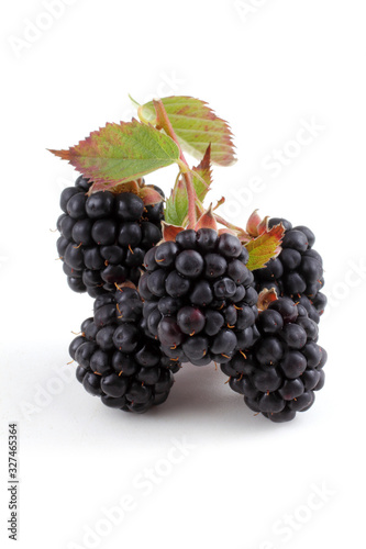 Cluster of blackberries