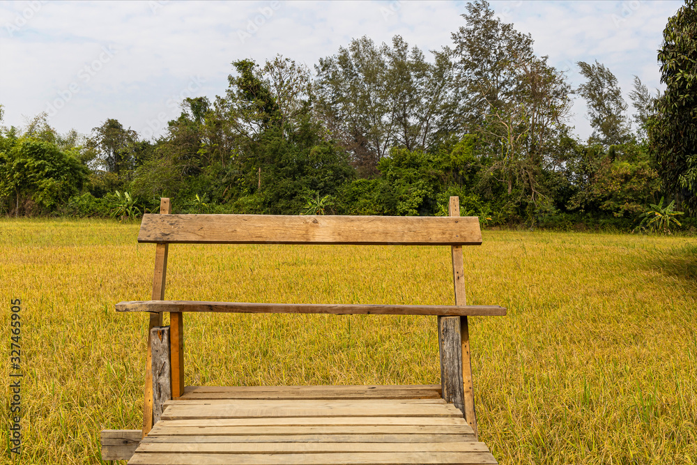 Fototapeta premium Wooden bench on the top rice field background.