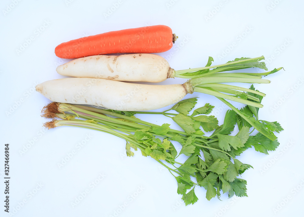 Fresh Carrot, Radish and Celery on white background Fresh Carrot, Radish and Celery on white background