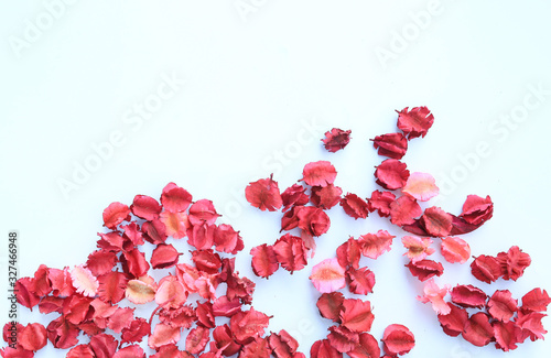 Abstract Dry flowers petals on white background.
