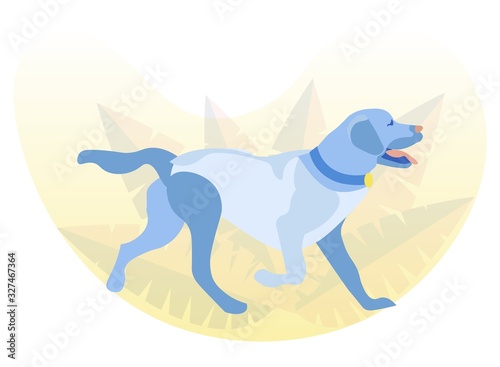 Lively Labrador Retriever Walking in Park or Woods
