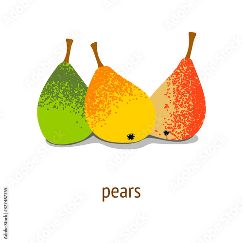 illustration with pears of different varieties. green, yellow and orange pears