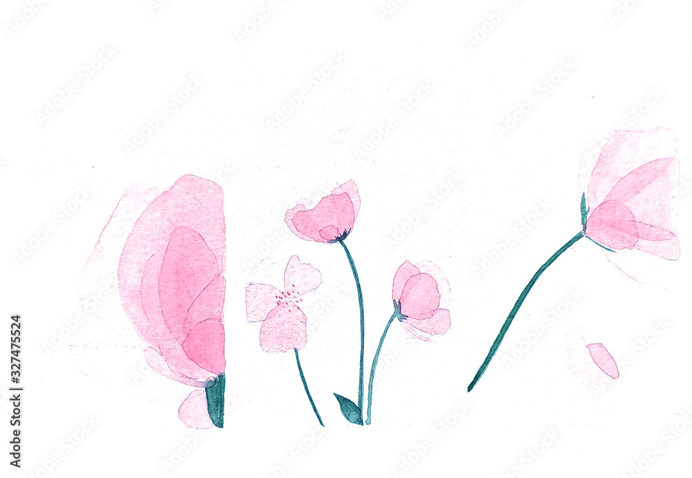 Transparent pink flowers on white background