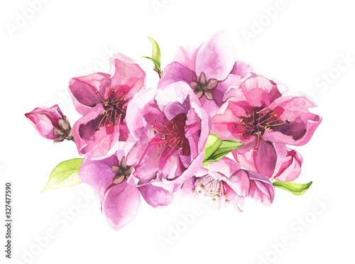 Watercolor hand painted pink cherry blossoms and leaves bouquet. Isolated floral arrangement illustration.