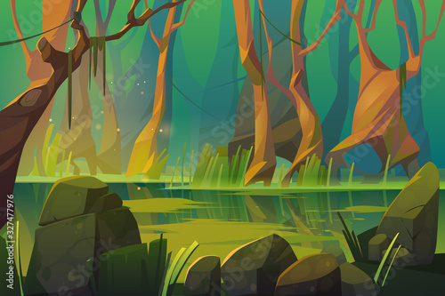 Swamp in tropical forest, fairy landscape with marsh, trees trunks, bog grass and rocks. Vector cartoon illustration of wild jungle, rain forest with river or swamp photo