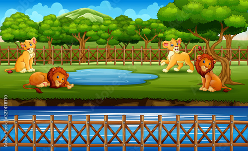 Scene with lions at the open zoo illustration