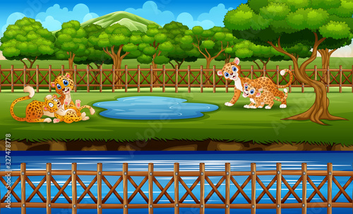 A leopard family enjoying nature in cage