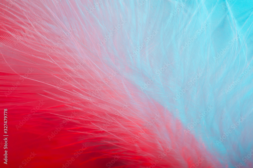 Obraz premium Abstract background with a red and blue feather