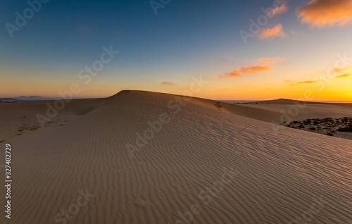 Fototapeta Naklejka Na Ścianę i Meble -  Sand dunes in the National Park of Dunas de Corralejo during a beautiful sunrise- Canary Islands - Fuerteventura.