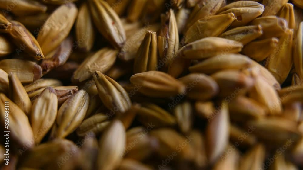 Barley malt for making beer or whiskey Barley malt for making beer or whiskey