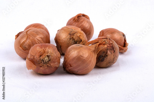 Scallion Onion