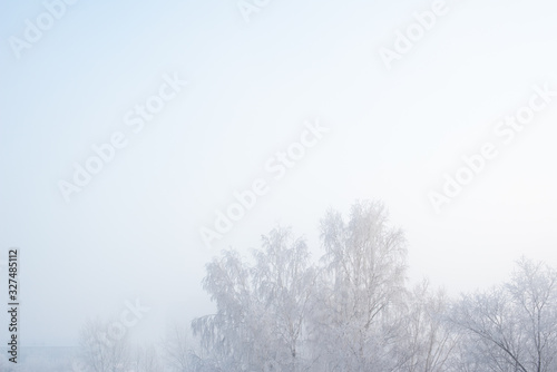 winter landscape of frozen trees, top view