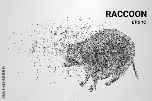 Raccoon of the particles. A raccoon consists of circles and dots. The raccoon splits into molecules.