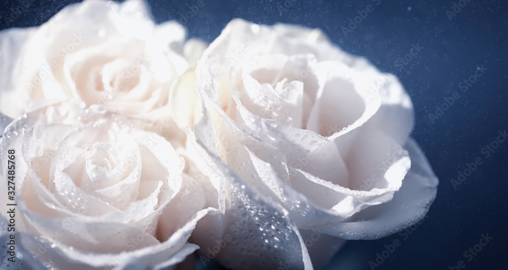 Bouquet of fresh flowers. Holiday gift to your loved one. Background St. Valentine's Day. Rose, tulip, iris flower arrangement. Bouquet of fresh flowers. Holiday gift to your loved one. Background St. Valentine's Day. Rose, tulip, iris flower arrangement.