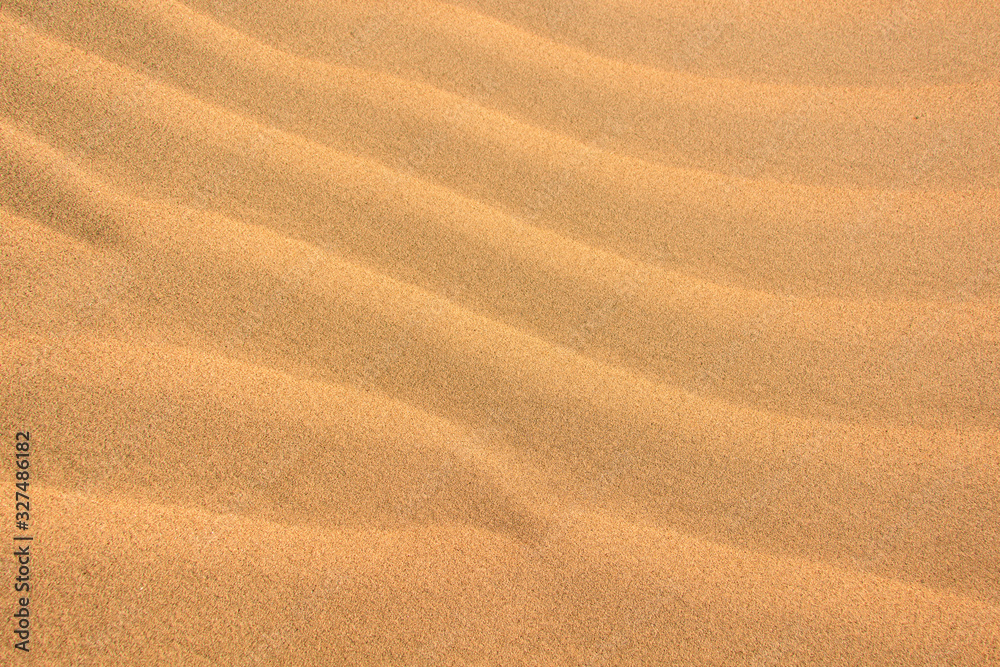 Ripples in the sand