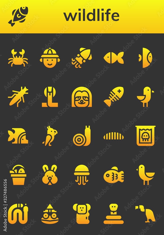 Modern Simple Set of wildlife Vector filled Icons Modern Simple Set of wildlife Vector filled Icons