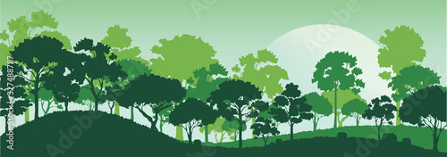 forest trees silhouettes , nature landscape background vector illustration EPS10