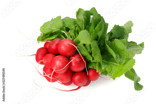 fresh radish bunch isolated on white background photo
