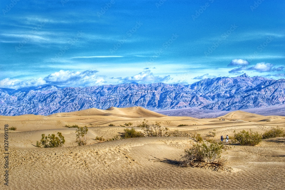 Mesquite sand dunes, Death valley, California Mesquite sand dunes, Death valley, California