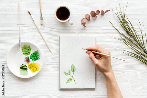 Painting. Female hands draw herbs on white background top-down