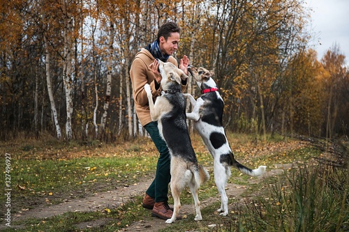 Cheerful guy communicating with dog in nature © Alexandr