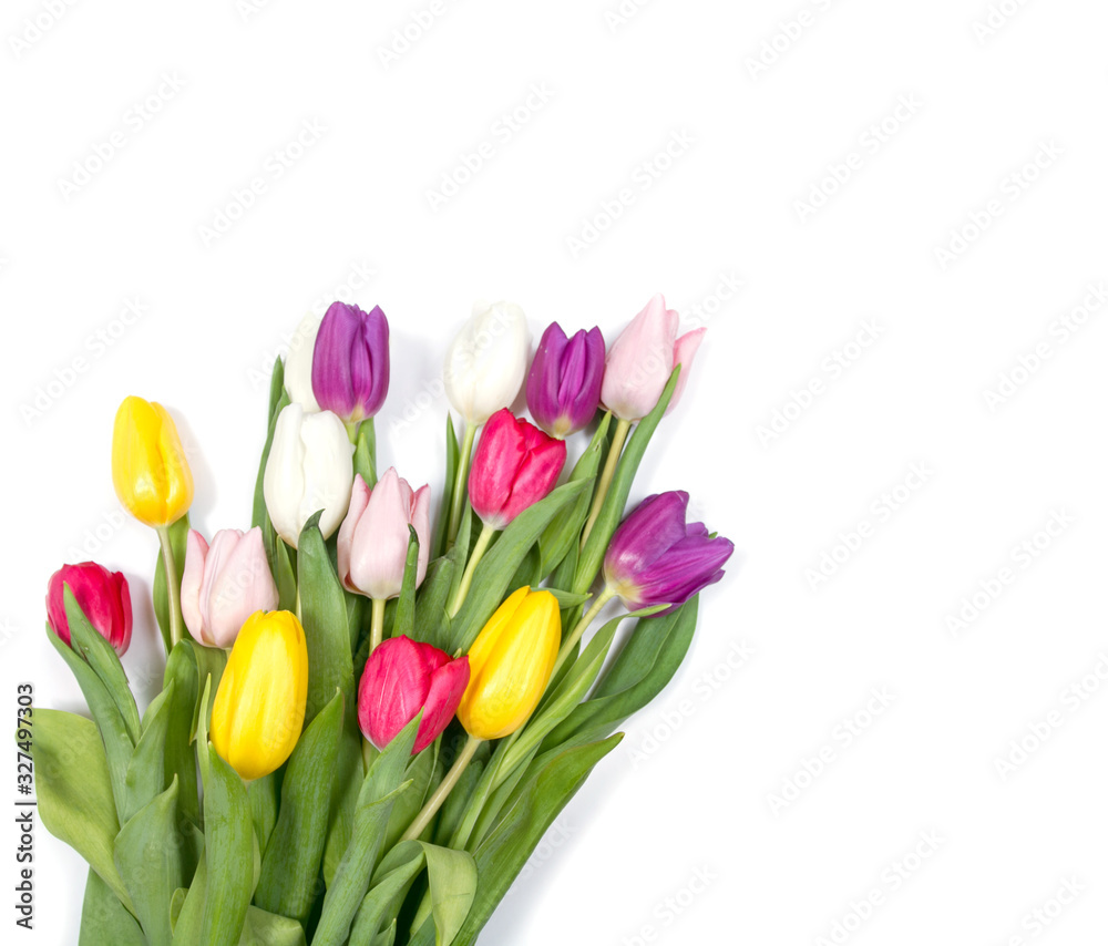 Naklejka premium Tulipany kwiaty tło