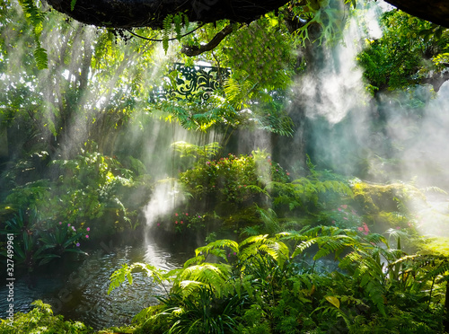 Fotografiet Tropical jungle with river and sun  beam  and foggy in the garden
