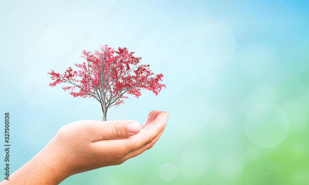 International Day of Forests concept: Human hand holding red plant over green background International Day of Forests concept: Human hand holding red plant over green background